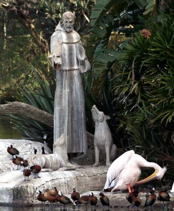 Imagem de São Francisco no Parque Zoológico de São Paulo